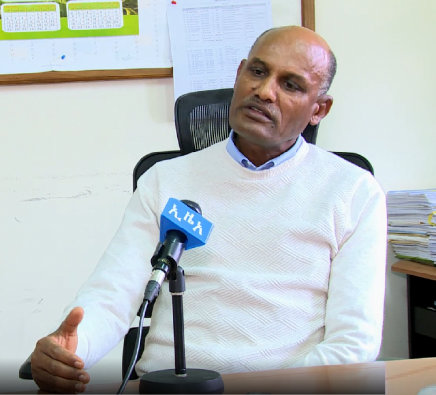 المدير الإقليمي: إثيوبيا على المسار الصحيح في إنتاج القمح للاكتفاء الذاتي من الغذاء