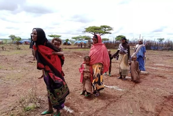 Number Of Ethiopians Needing Emergency Aid Increases To Over 16m Welcome To Fana Broadcasting 