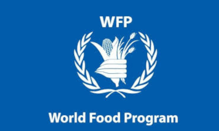 UN’s World Food Programme wins 2020 Nobel peace prize – Welcome to Fana ...