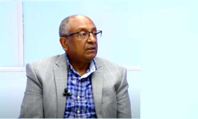 Notable Ethio-American professor says the U.S. admin mishandling ...